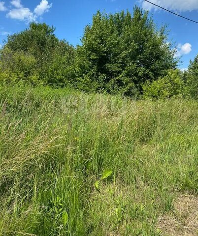 земля п Приморское Светловский городской округ фото