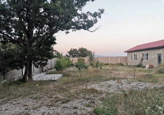 земля с Борисовка фото