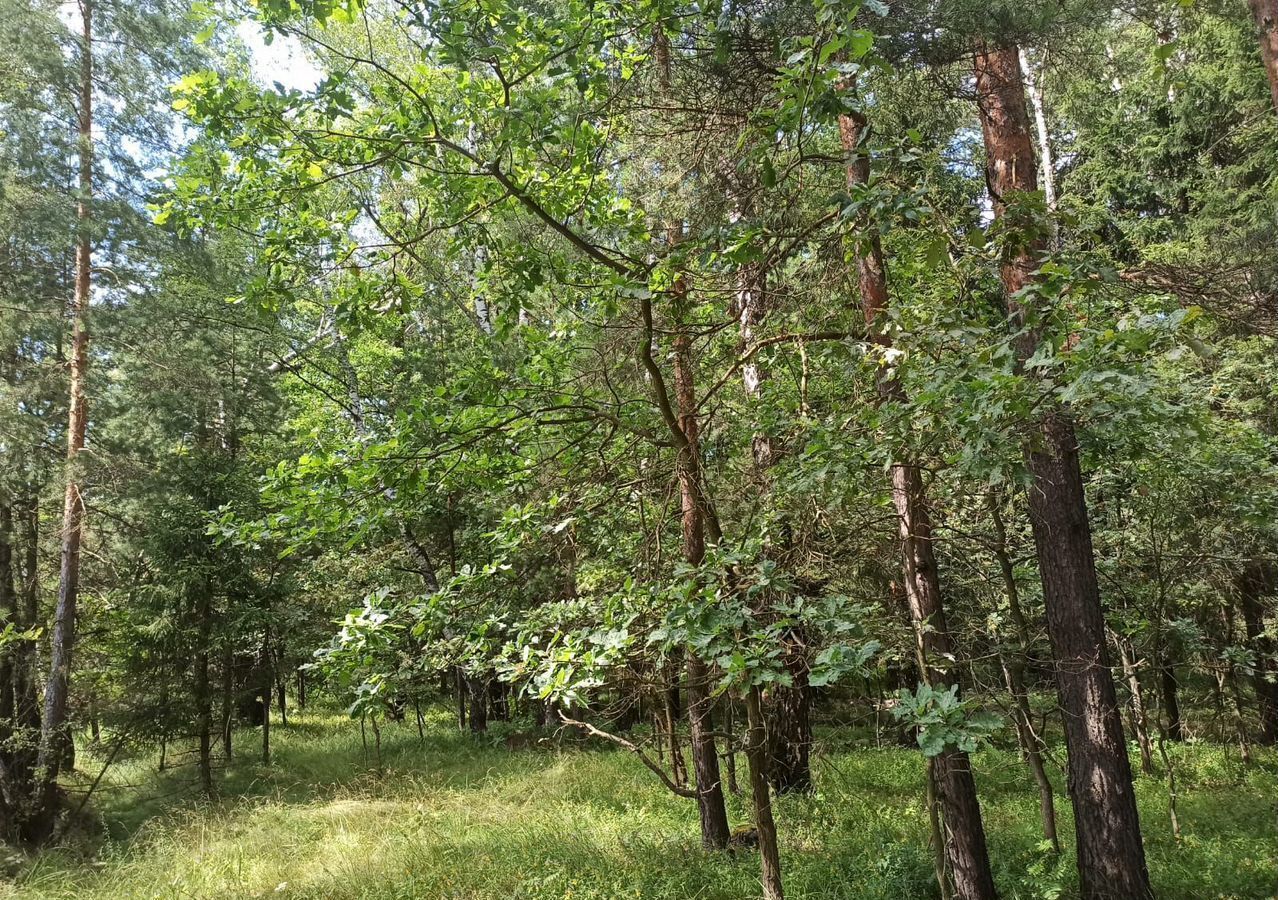дом городской округ Богородский г Электроугли 27 км, д. Марьино, Носовихинское шоссе фото 13