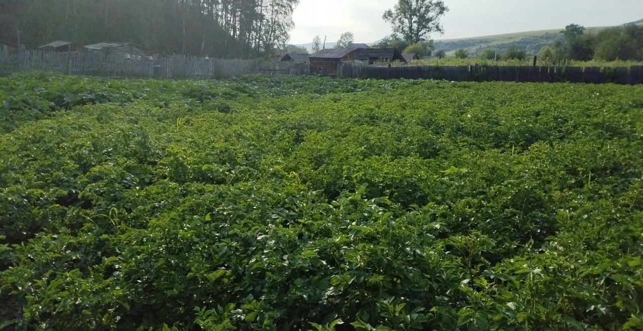дом г Барнаул р-н Октябрьский пр-кт Ленина фото 11