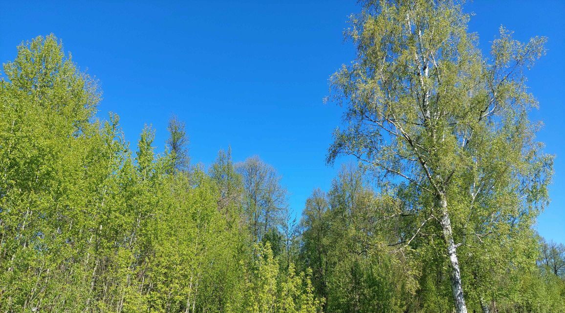 квартира р-н Рыбинский г Рыбинск ул Софьи Перовской 1 фото 13