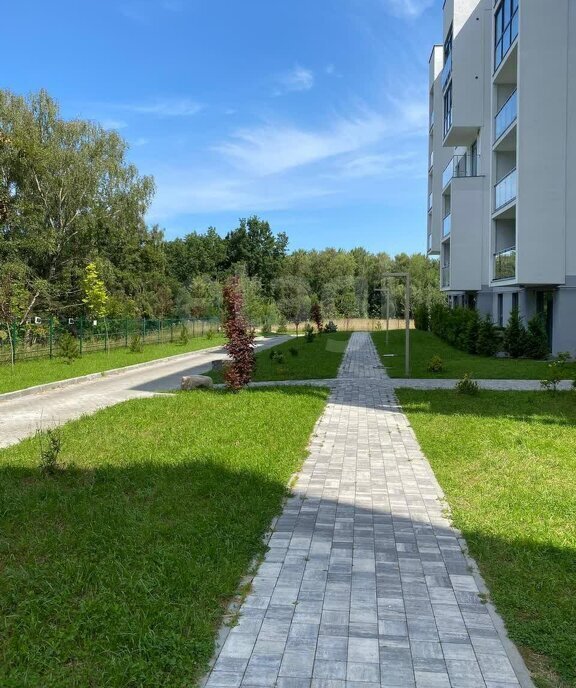 квартира р-н Светлогорский г Светлогорск ул Ольховая 19к/3 фото 9