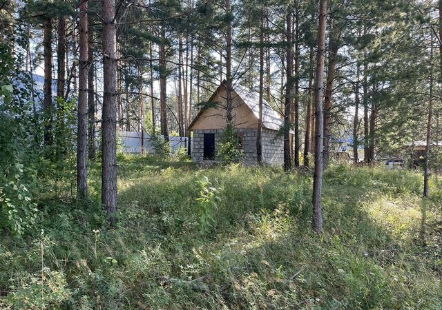 ул Огородная ДНТ Чистые Ключи, Двуреченск фото