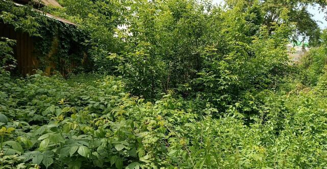 р-н Фабричный садоводческое товарищество Текстильщик-2, 71 фото