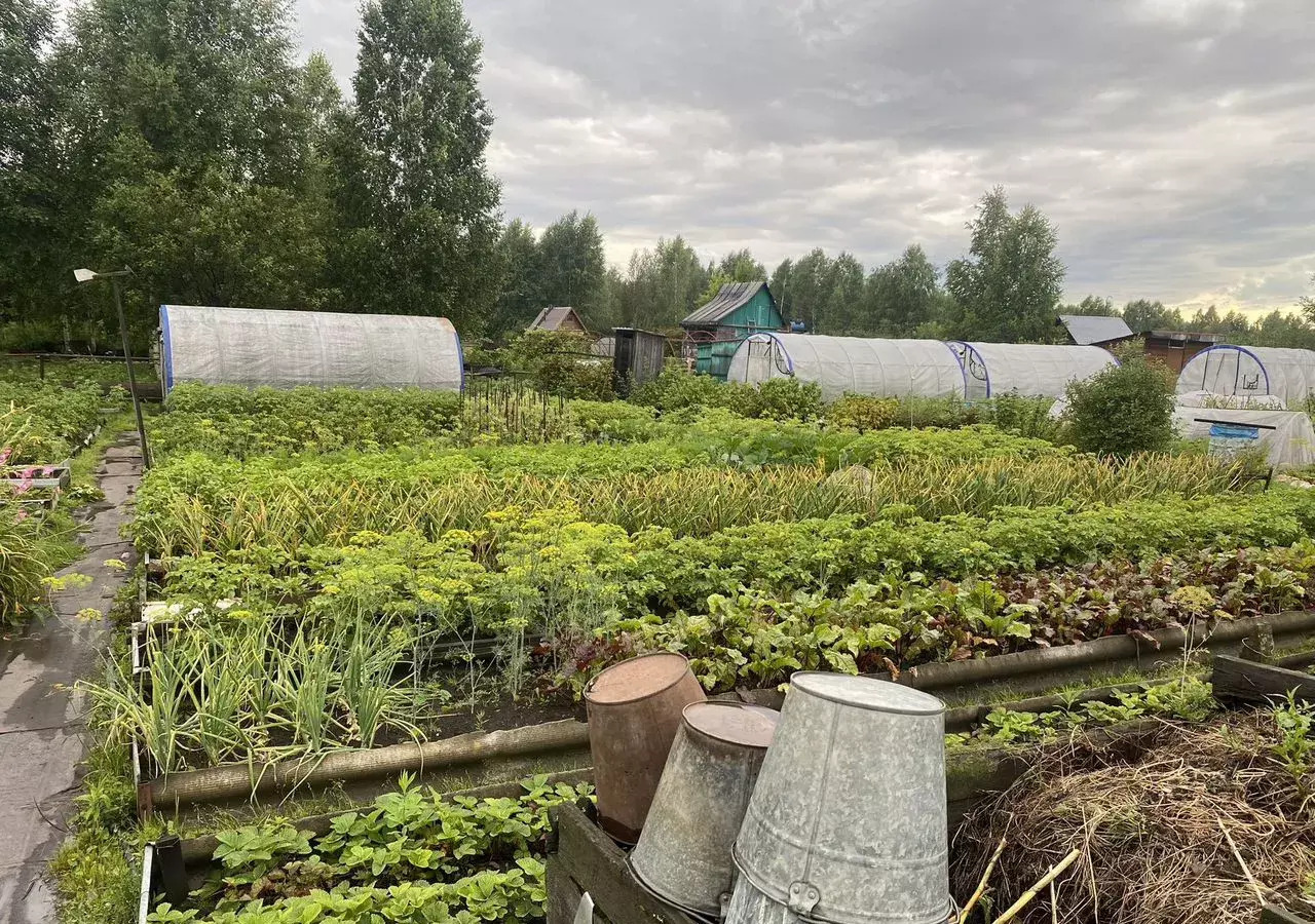 дом г Междуреченск снт Черемушки Кемеровская обл. — Кузбасс, Кедровая линия, 5 фото 14