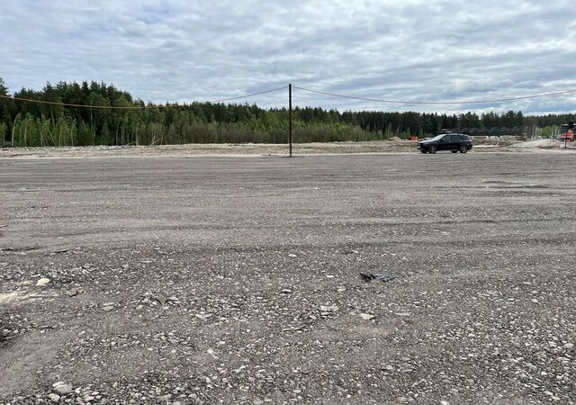 земля Дорога жизни, 5 км, Всеволожское городское поселение фото