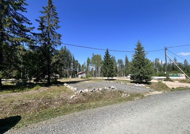 снт Ветеран-3 ул Таежная Нововилговское сельское поселение, Петрозаводск фото