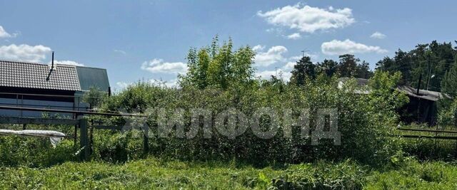 Речной вокзал ул Моисеенко 27 фото