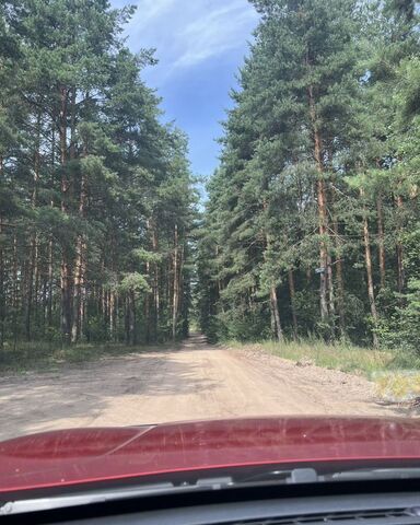 снт Гора-89 517, Ликино-Дулево фото