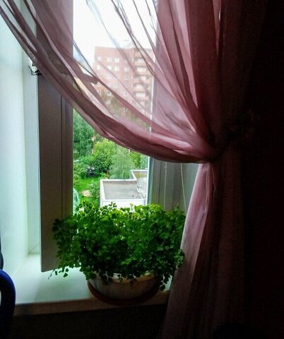 метро Автово дом 95к/1 фото