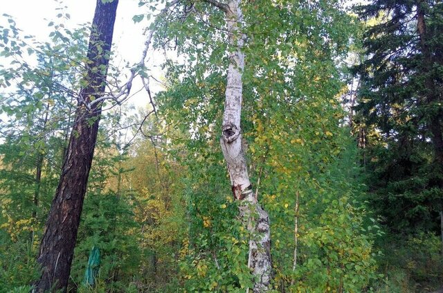 земля ул Санаторный детский дом 17 фото
