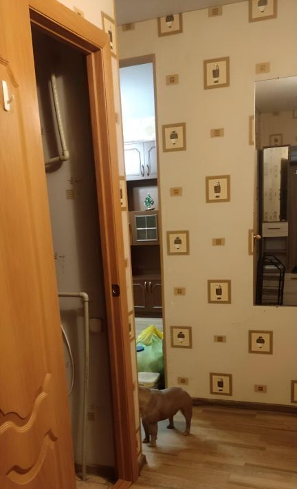 квартира г Саратов р-н Ленинский ул им академика О.К.Антонова 3б фото 10