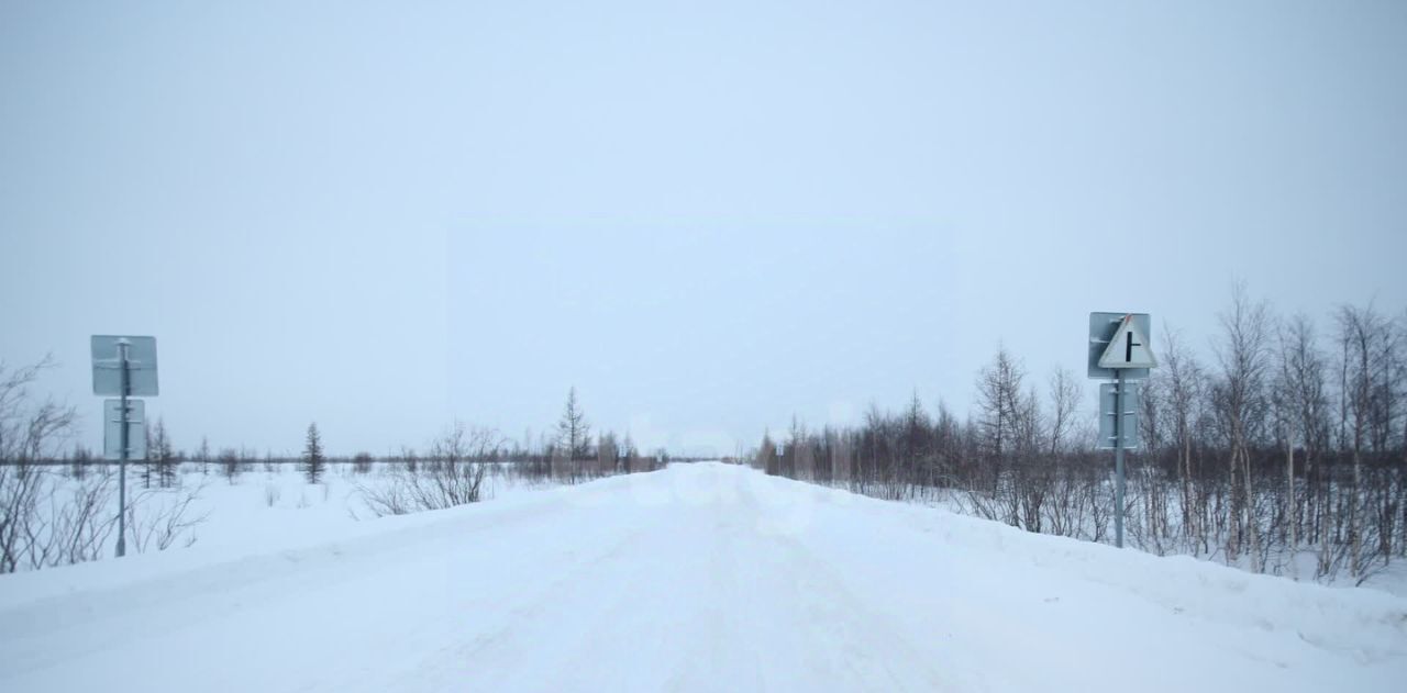 земля г Новый Уренгой фото 5
