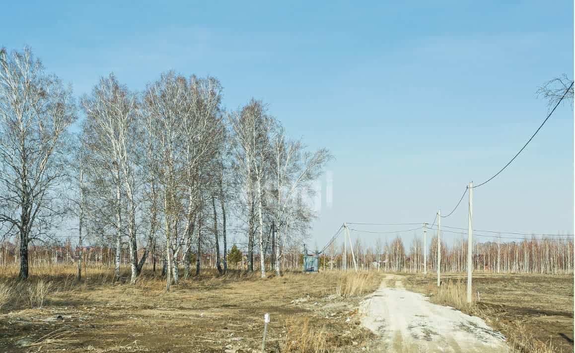земля г Бердск ул Радостная Бердское шоссе фото 6