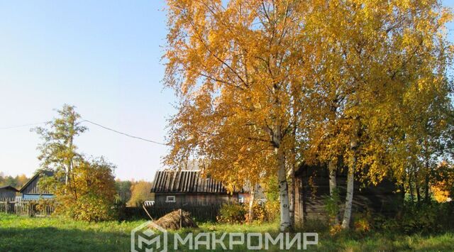 земля р-н Маймаксанский округ снт Бочага фото