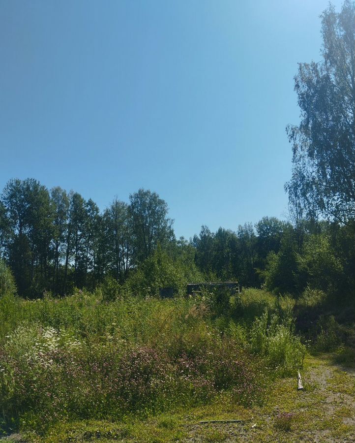 земля р-н Выборгский г Выборг Трасса Скандинавия, 94 км, 41К-207 фото 2