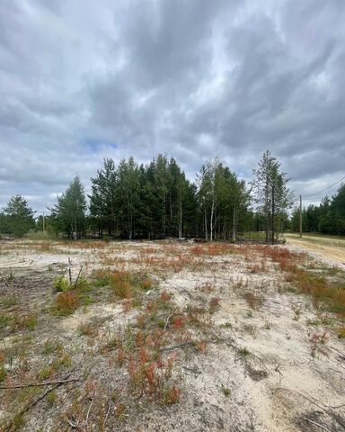 земля р-н Северный жилой ул Брусничная Сургут, Тюменская обл. фото