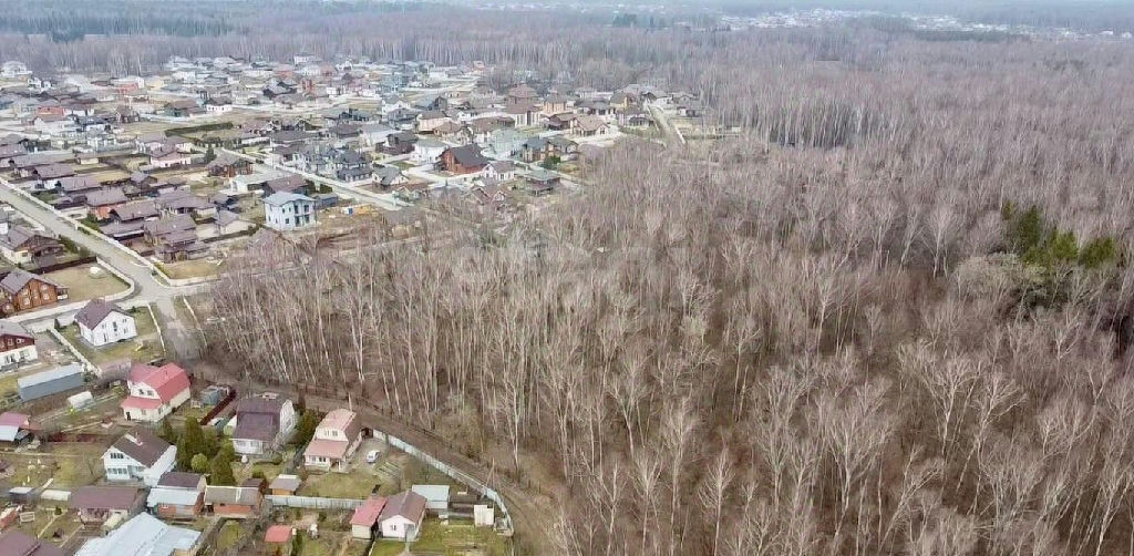 земля г Домодедово Московская 1-я ул фото 1