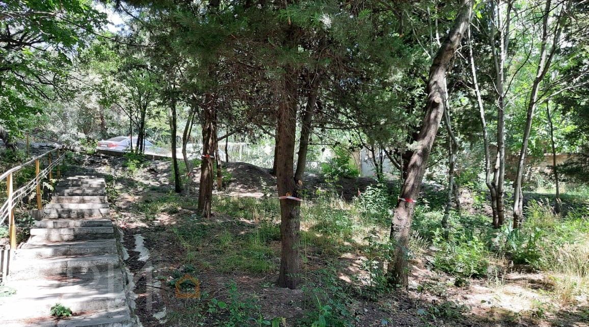 земля г Ялта пгт Краснокаменка ул Алуштинская 19 фото 2