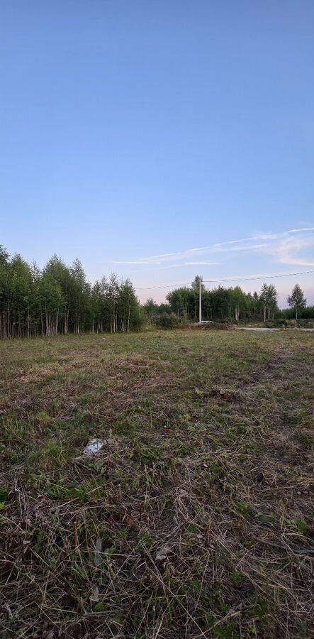 земля г Березовский п Монетный № 127 Дачник, Бирюзовая ул., 34, садовое некоммерческое товарищество фото 8