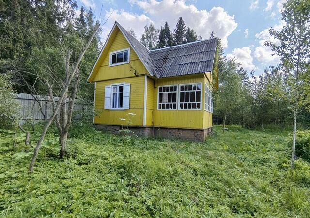 33 км, Морозовский тупик, 51, Икша, садоводческое некоммерческое товарищество Автомобилист, Дмитровское шоссе фото