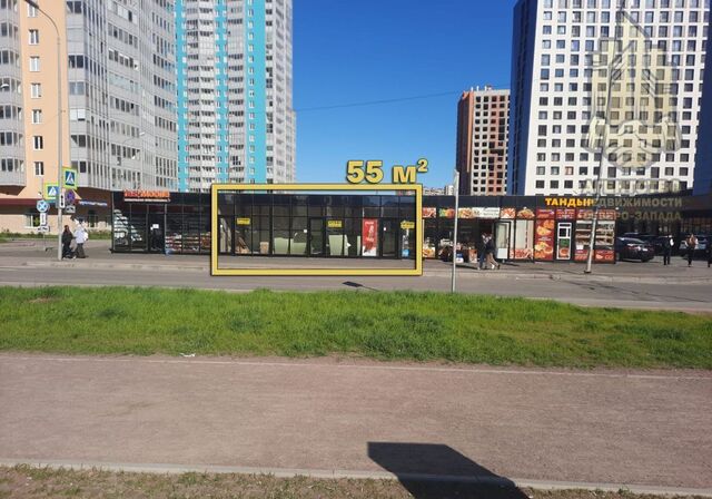 свободного назначения дом 4 Девяткино, Муринское городское поселение фото
