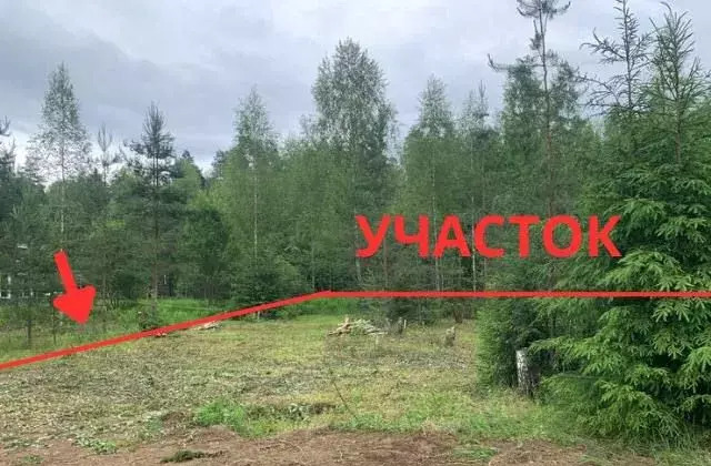 земля ул Нижегородская 22 39 км, Горьковское шоссе фото