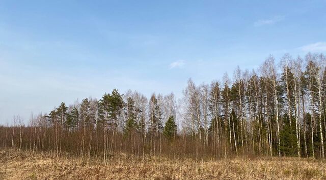 земля тер. ДПК Тимуровец муниципальное образование, Андреевское фото