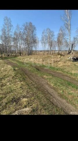 Школьная улица, Миасский городской округ фото