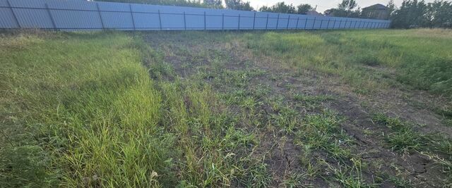п Березовый р-н Прикубанский фото