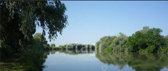 земля р-н Темрюкский г Темрюк снт Автомобилист ул Ореховая СОТ фото 6