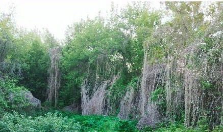 дом г Октябрьск поселок Правая Волга ул Строителей 5 фото 6