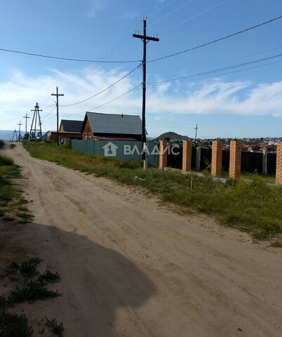 днп ДНТ Багульник фото