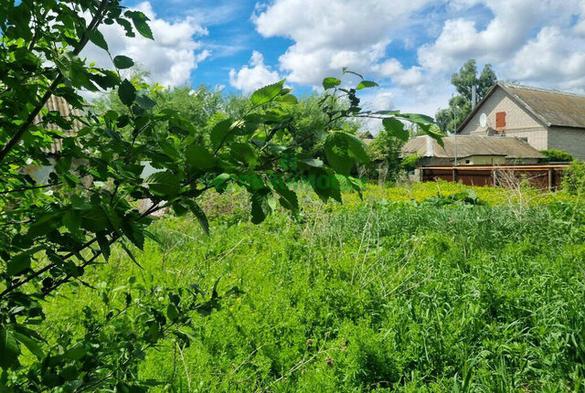 село Ивановка пригород Балаково, улица Сельхозтехникум, 23 фото