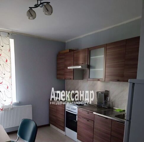 пер Итальянский 4 Улица Дыбенко, Заневское городское поселение фото