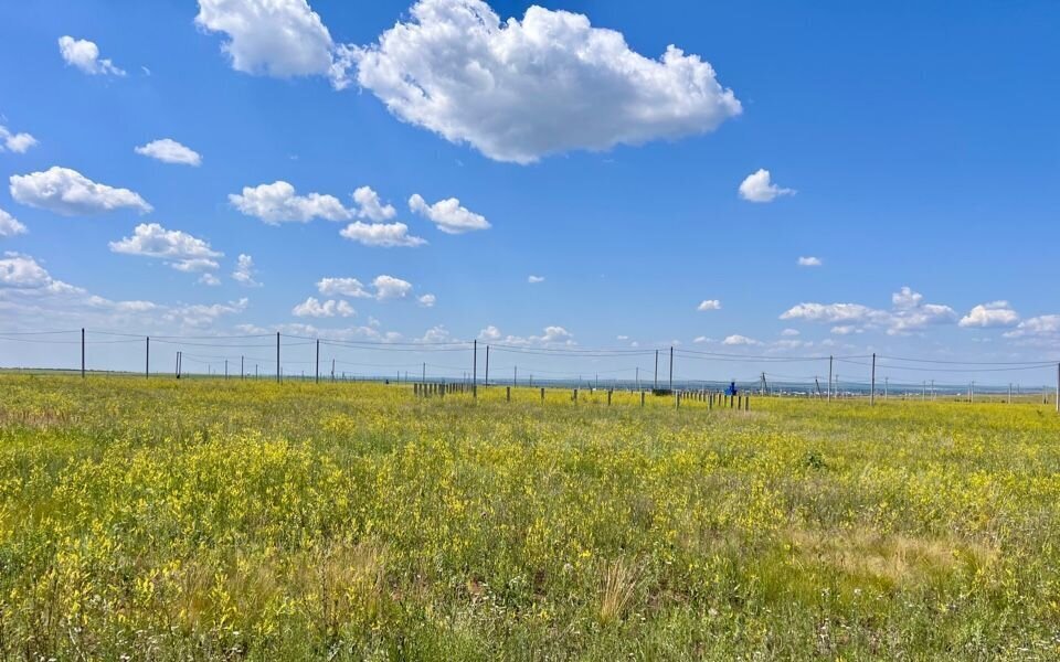 земля г Оренбург п Нижнесакмарский р-н Дзержинский фото 8