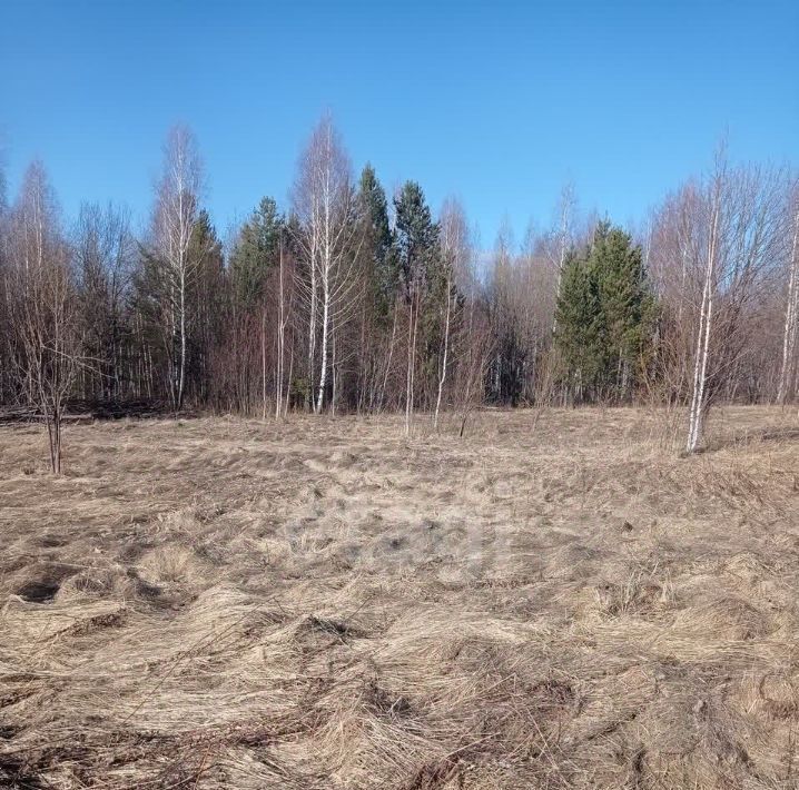 земля г Нижний Тагил р-н Тагилстроевский ул 2-я Самоцветная 4 фото 7