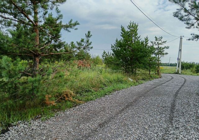 ул Зеленая 2 Углянское сельское поселение, Углянец фото
