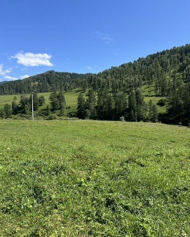земля с Узнезя Горно-Алтайск фото