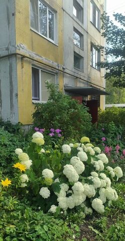комната дом 33 фото