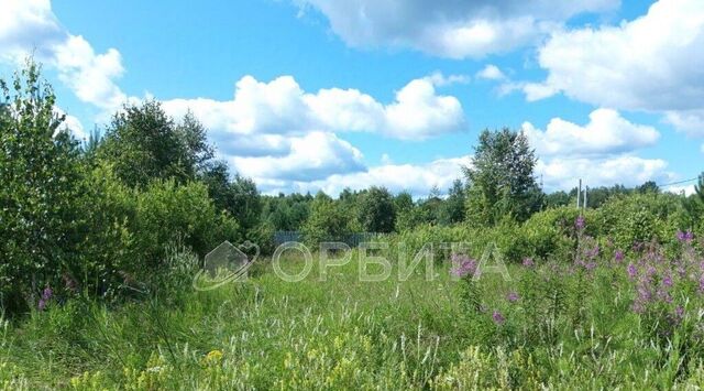 земля фото земля фото