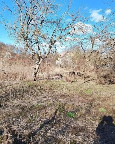 земля снт Урожай Балтийска ул Нижняя фото