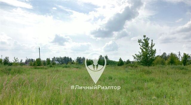 земля д Рожок ул Центральная Екимовское с/пос фото земля д Рожок ул Центральная Екимовское с/пос фото