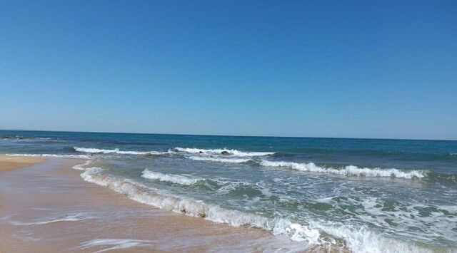 снт Нептун Батальненское с/пос фото снт Нептун Батальненское с/пос фото