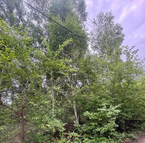 ул Центральная 6а фото ул Центральная 6а фото