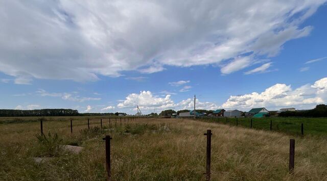 с Нурлино сельсовет, Николаевский фото с Нурлино сельсовет, Николаевский фото