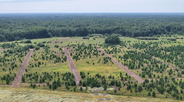 земля ул Совхозная 21 фото земля ул Совхозная 21 фото