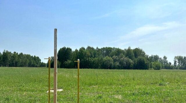 земля ул Весенняя 32 фото земля ул Весенняя 32 фото