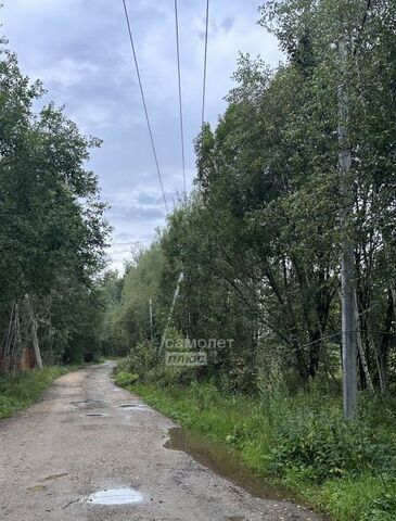 д Хлюпино фото д Хлюпино фото