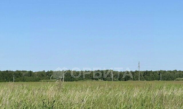 земля 14 фото земля 14 фото